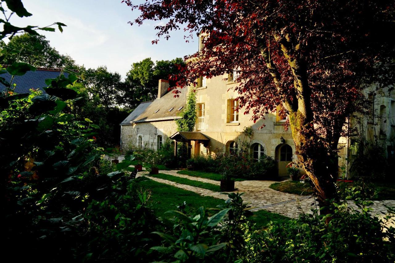 Le Moulin De La Planche Bed and Breakfast Cerelles Eksteriør billede